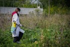 Biopreparados para el control de plagas agrícolas