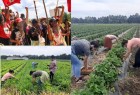 Curso de Posgrado 'Agroecología y Soberanía Alimentaria'
