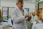 Científicos UNLu desarrollan biomateriales como sustitutos del tejido óseo a partir de huesos de vaca