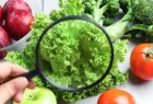 5° Jornada de Actualización en Inocuidad Alimentaria